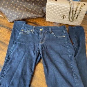 7 For All Mankind - The Skinny - Size 26